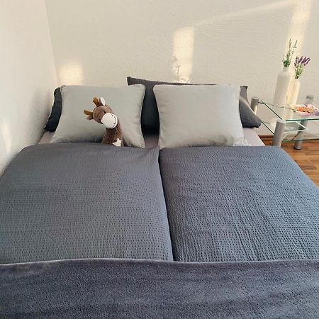 Schoene Wohnung In Roefingen Rofingen Esterno foto